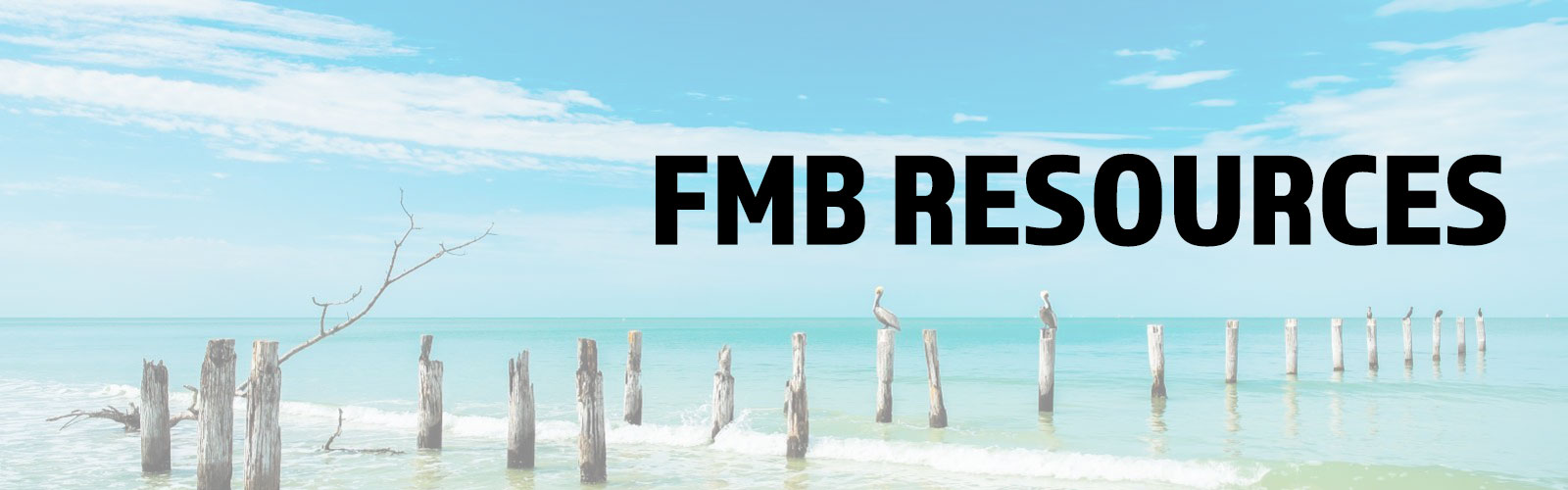 FMB-RESOURCES-HEADER-IMAGE